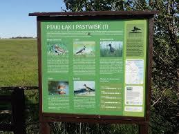 Rezerwat przyrody Beka